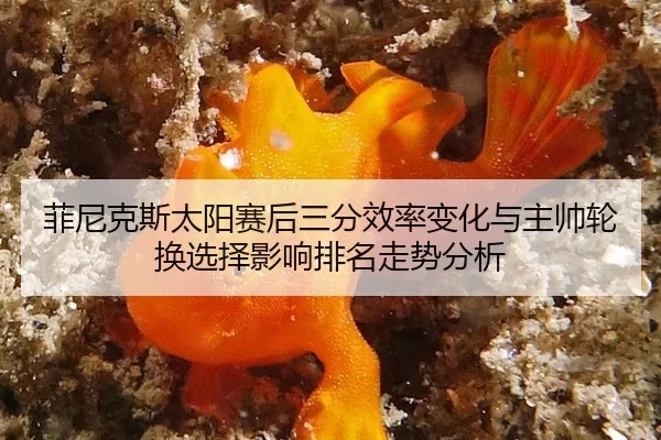 菲尼克斯太阳赛后三分效率变化与主帅轮换选择影响排名走势分析